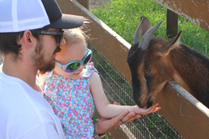 Domestic Animal Feeding