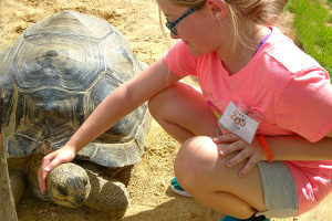 Animal Encounters