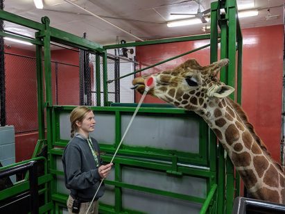 Meet The Tallest Team Members At Niabi Zoo Niabi Zoo