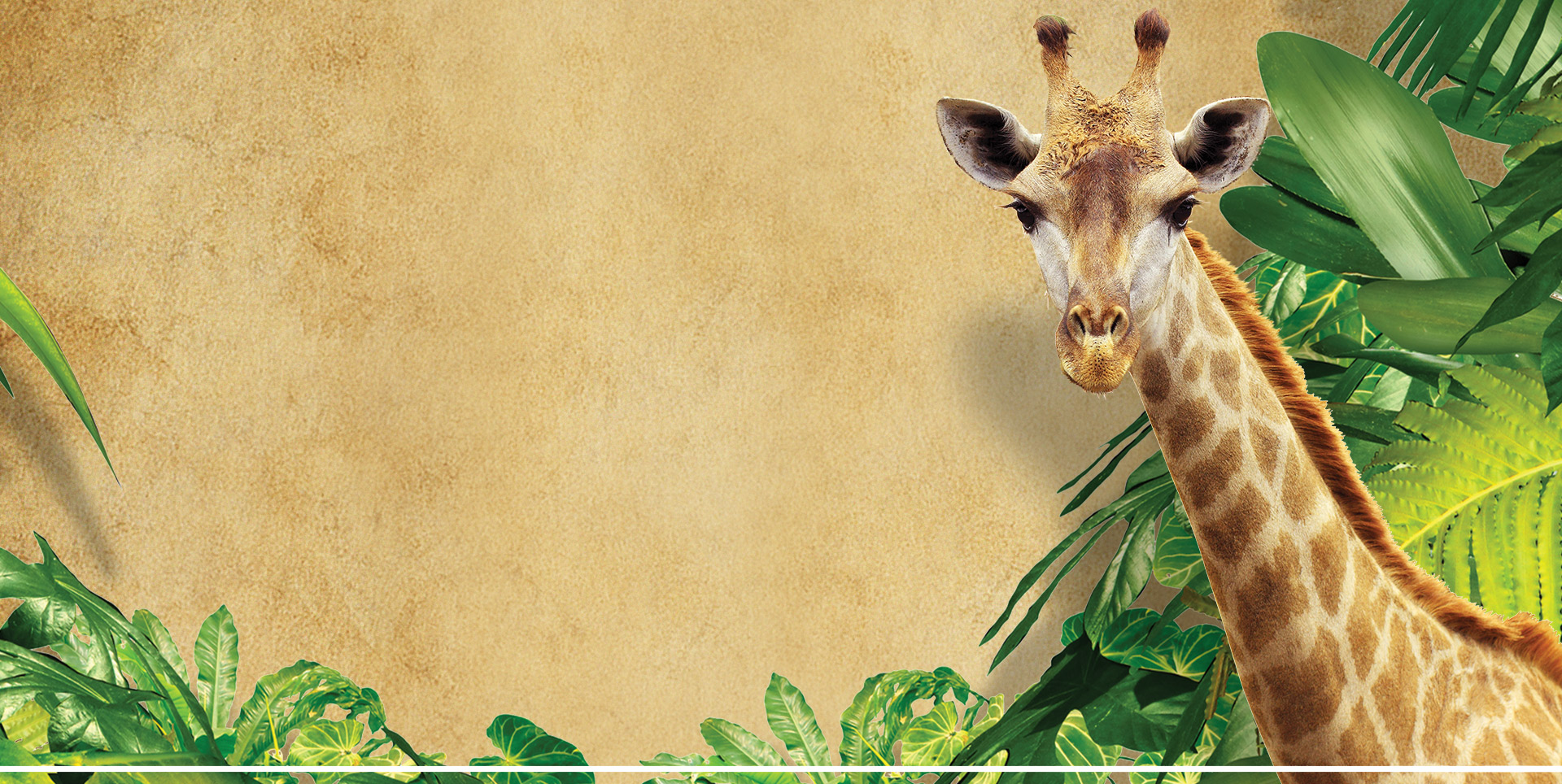 Niabi Zoo Connecting the Quad Cities with animals