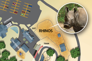 rhino_exhibit_map