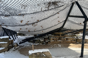 snow-leopard-exhibit-collapse-300x200