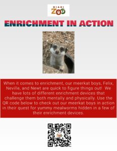 Enrichment in Action QR code