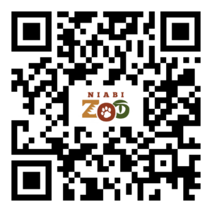 QR code for fennec fox