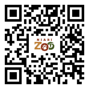 QR code for painted dogs