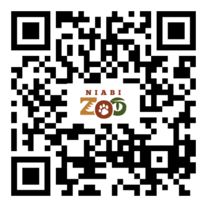 QR code for red river hogs