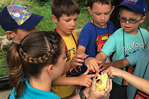 zoo-camp-touch-cat-skull