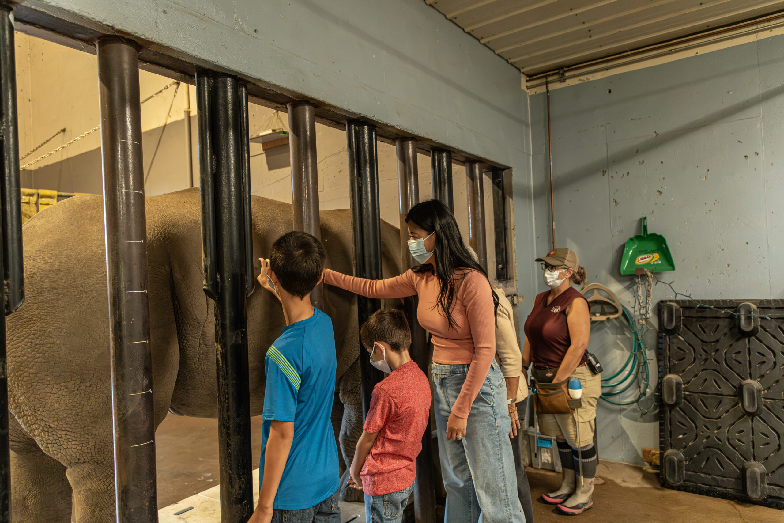rhino-encounter-with-actor-family-1